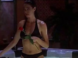 Denise richards valentine